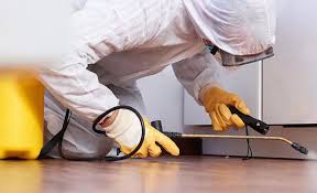 Reliable Port Byron, NY Pest control Solutions